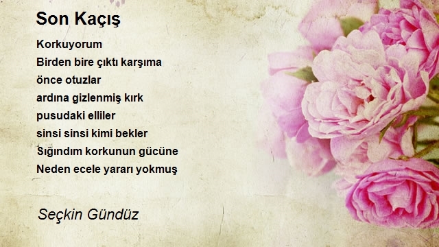 Seçkin Gündüz