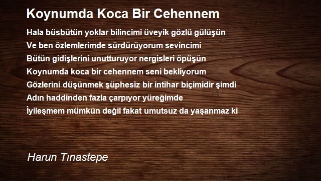 Harun Tınastepe