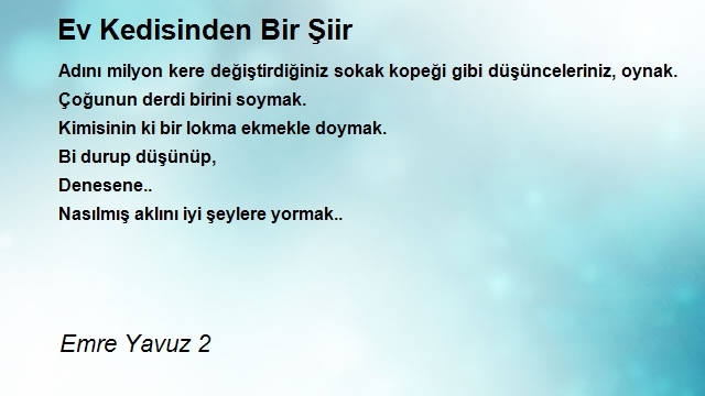 Emre Yavuz 2