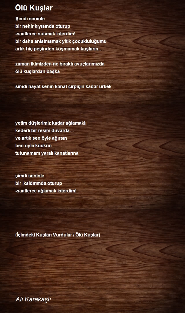 Ali Karakaşlı
