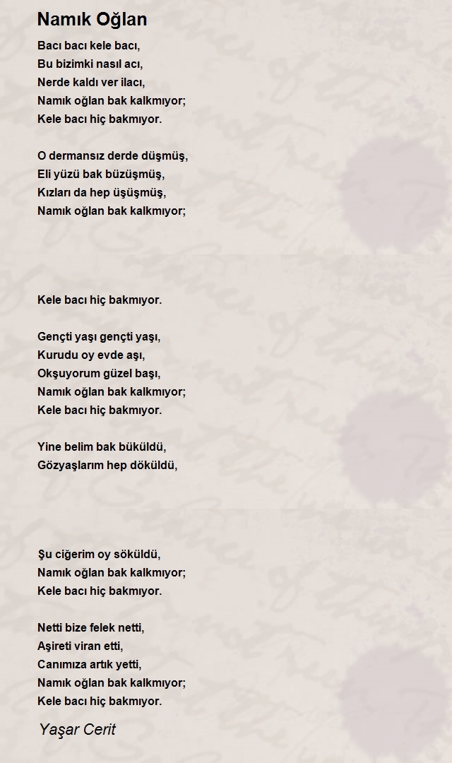 Yaşar Cerit