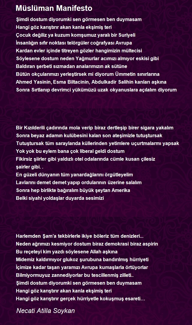 Necati Atilla Soykan
