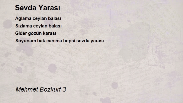 Mehmet Bozkurt 3