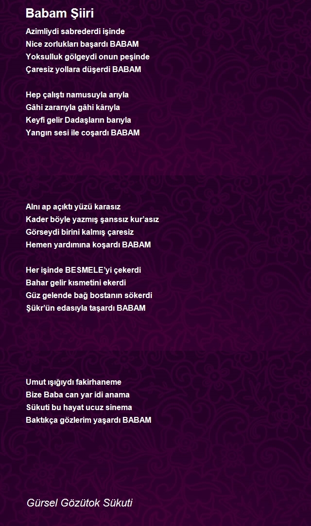 Gürsel Gözütok Sükuti