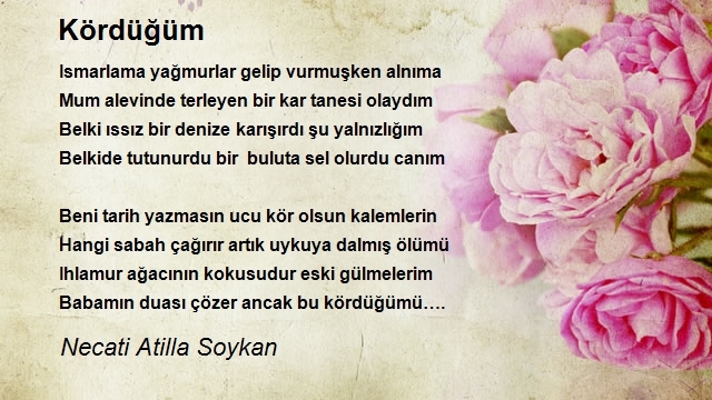 Necati Atilla Soykan