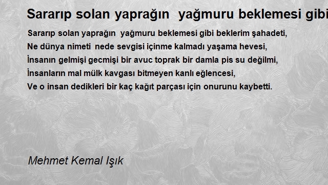 Mehmet Kemal Işık