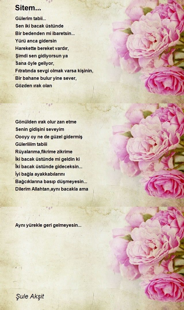 Şule Akşit