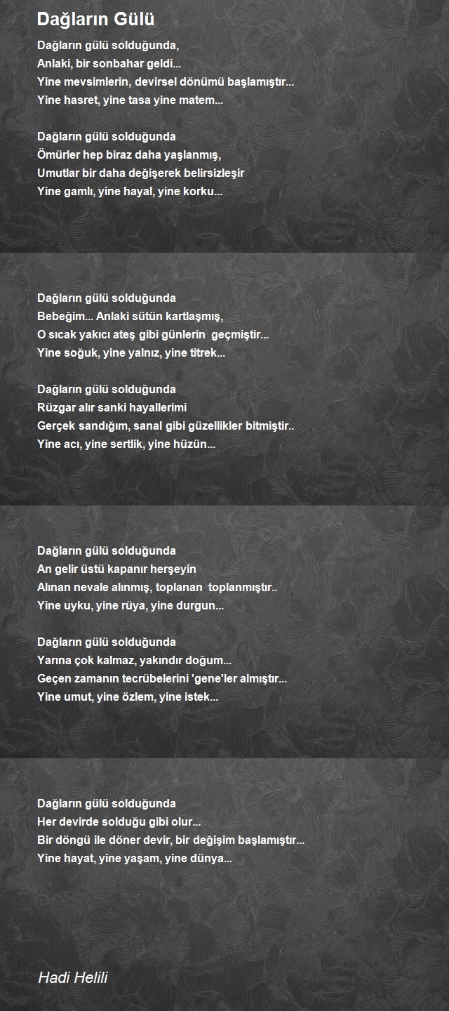 Hadi Helili