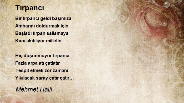 Mehmet Halil