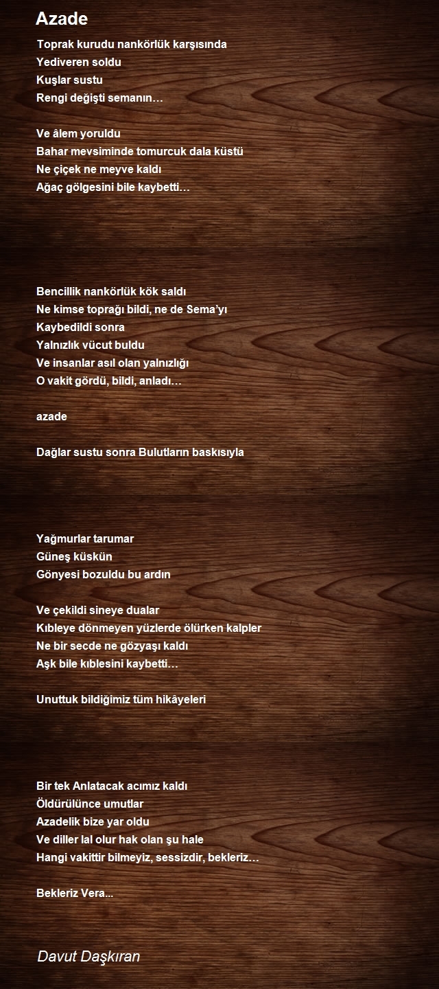 Davut Daşkıran