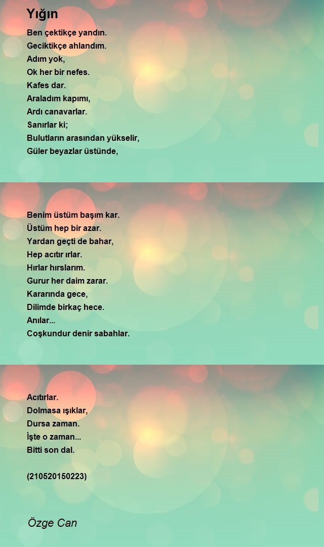 Özge Can