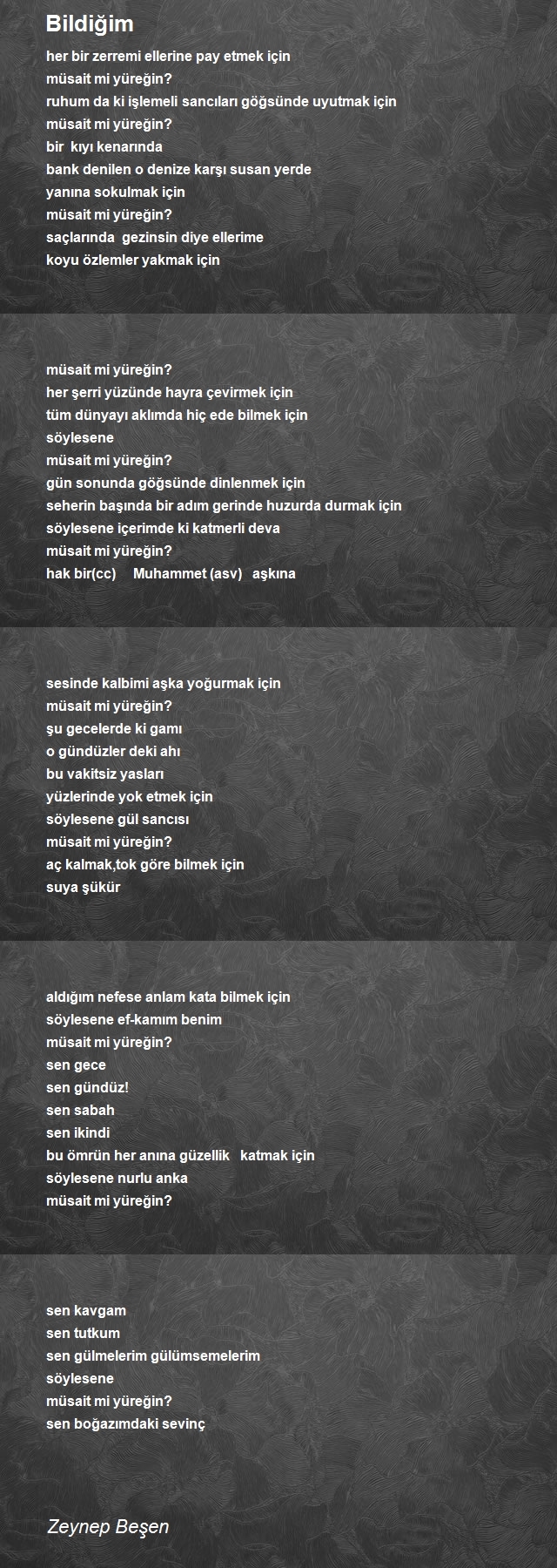 Zeynep Beşen