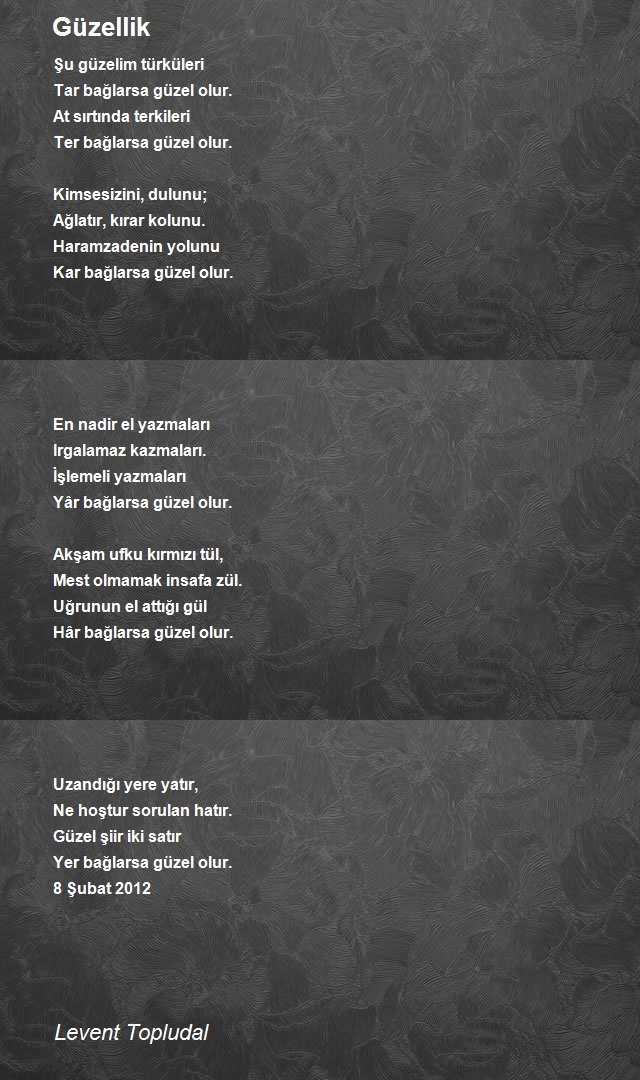 Levent Topludal