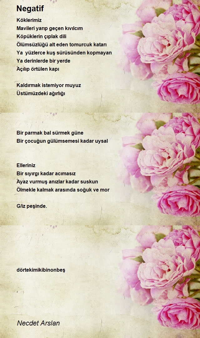 Necdet Arslan