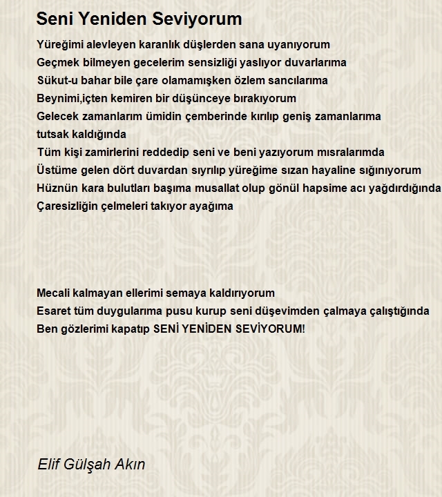 Elif Gülşah Akın