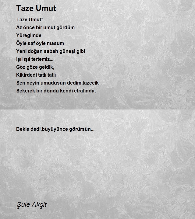 Şule Akşit