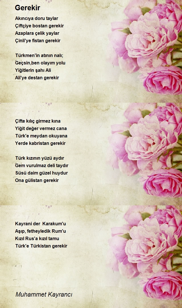 Muhammet Kayrancı