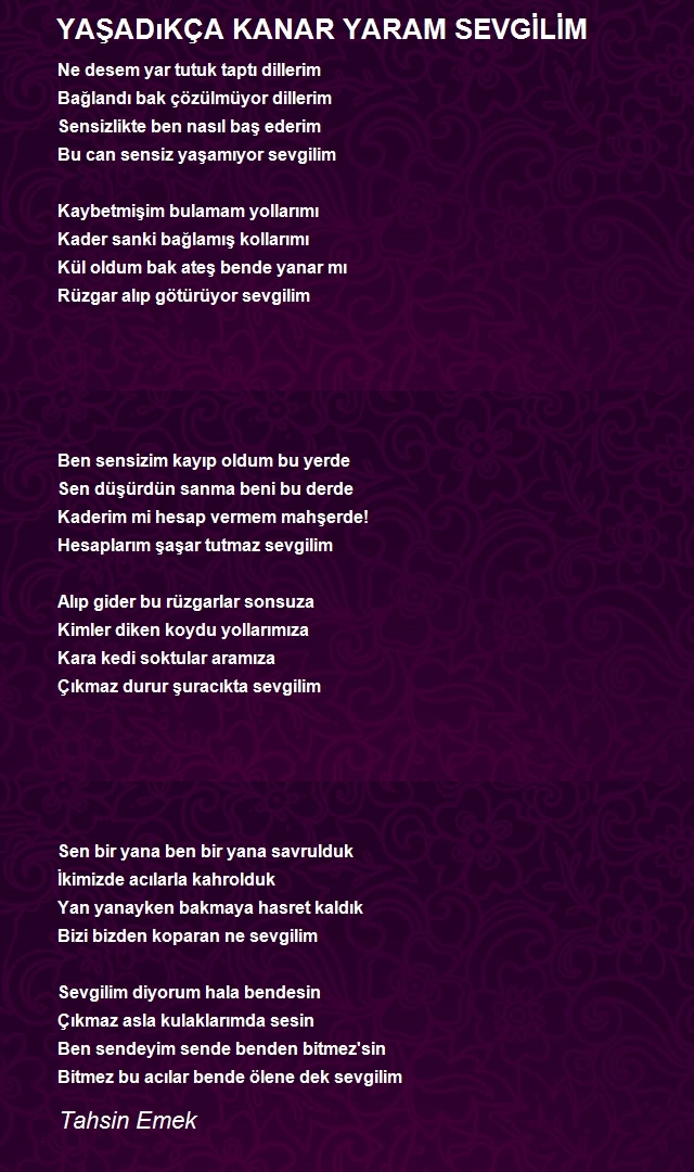 Tahsin Emek