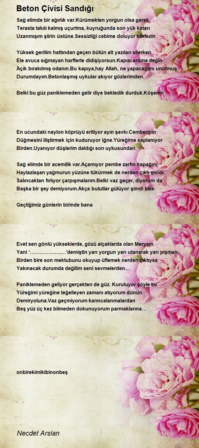 Necdet Arslan