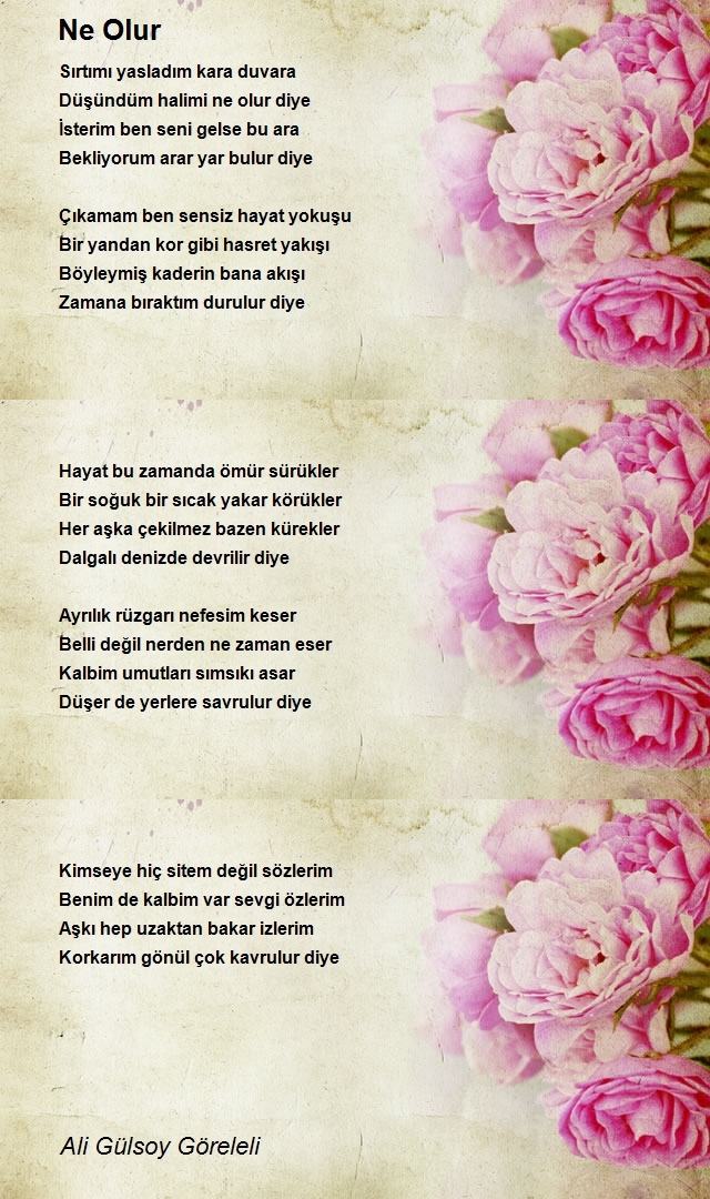 Ali Gülsoy Göreleli