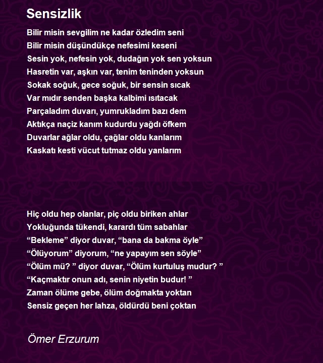 Ömer Erzurum