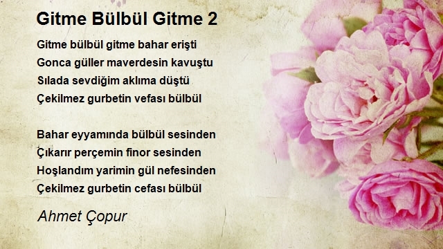 Ahmet Çopur