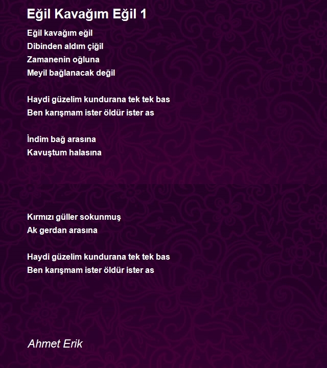 Ahmet Erik