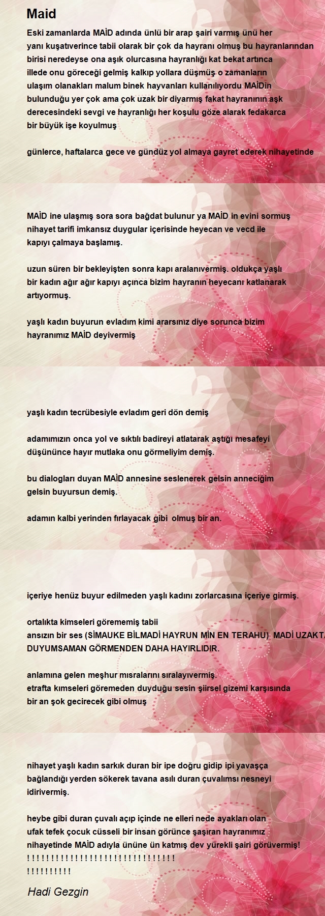 Hadi Gezgin