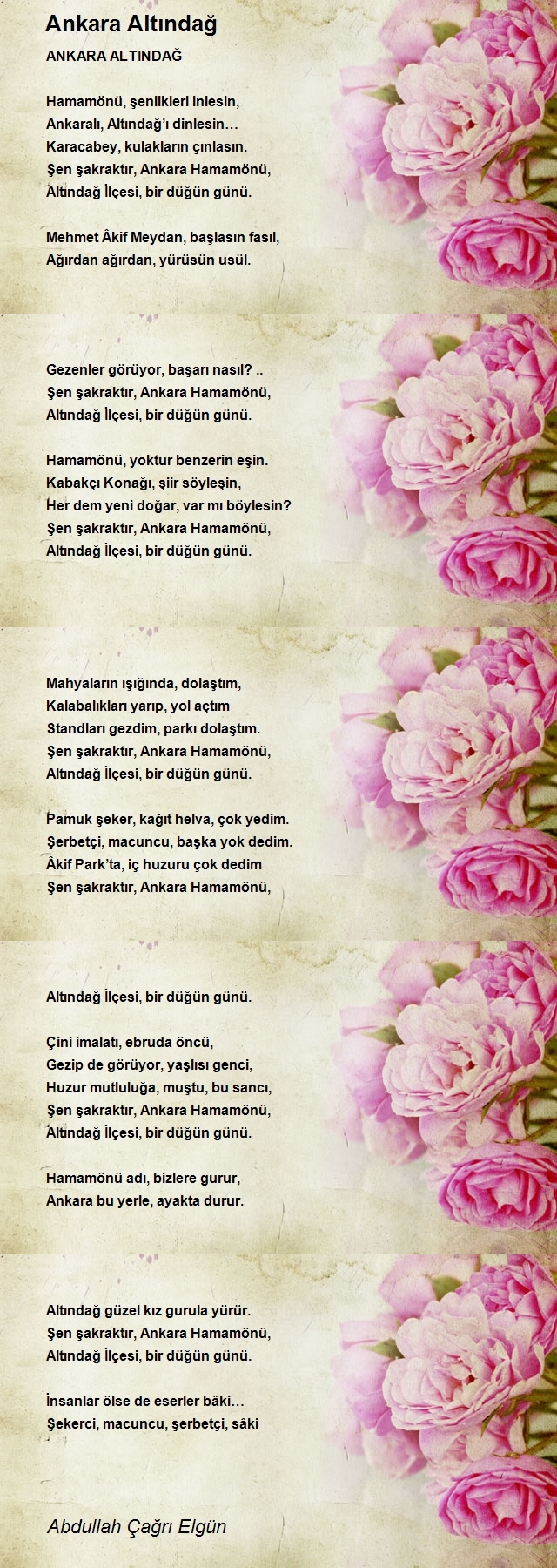Abdullah Çağrı Elgün