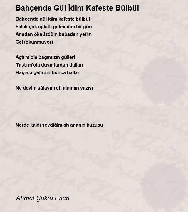 Ahmet Şükrü Esen