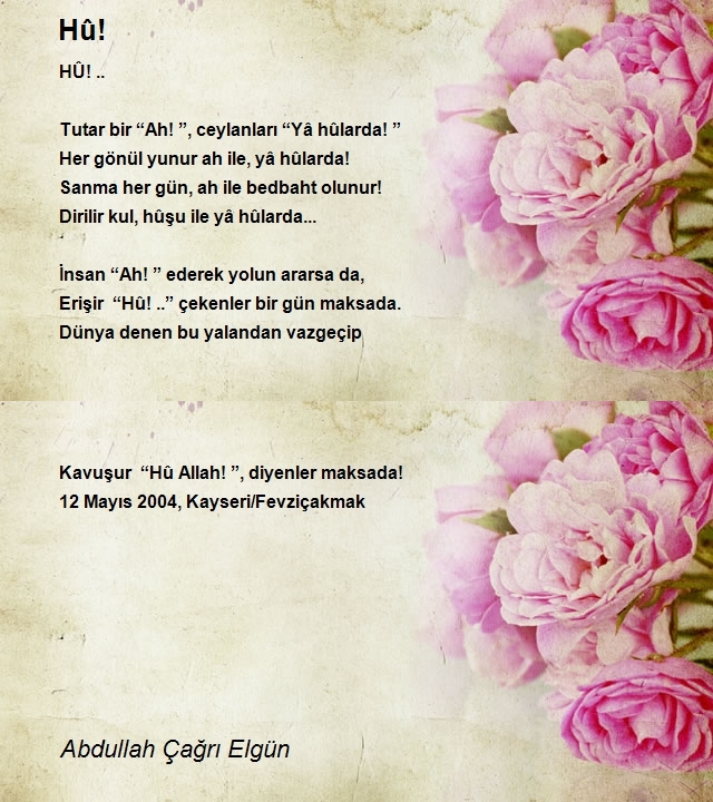 Abdullah Çağrı Elgün