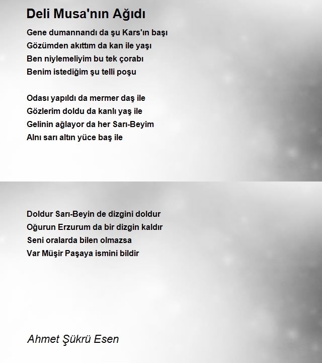 Ahmet Şükrü Esen