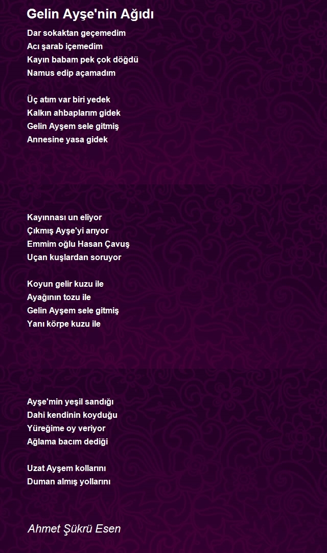 Ahmet Şükrü Esen