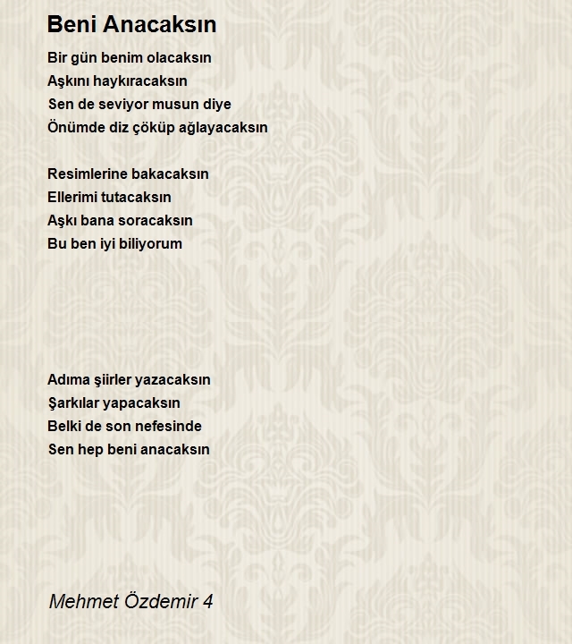 Mehmet Özdemir 4