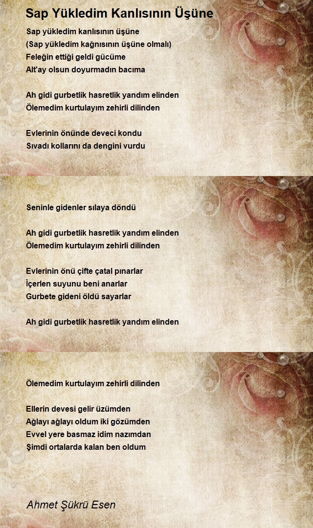 Ahmet Şükrü Esen