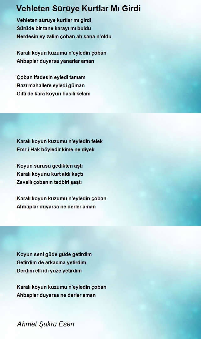 Ahmet Şükrü Esen