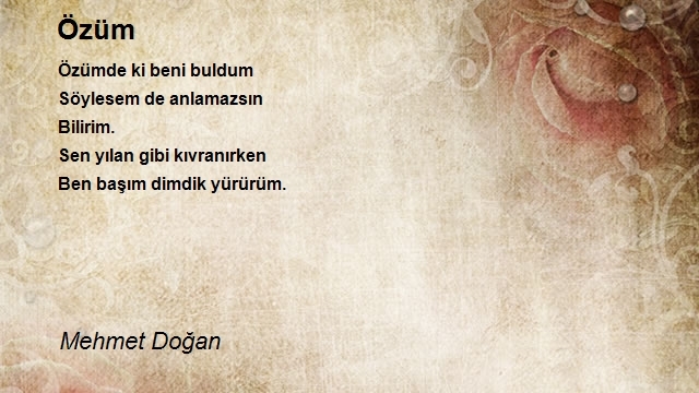 Mehmet Doğan