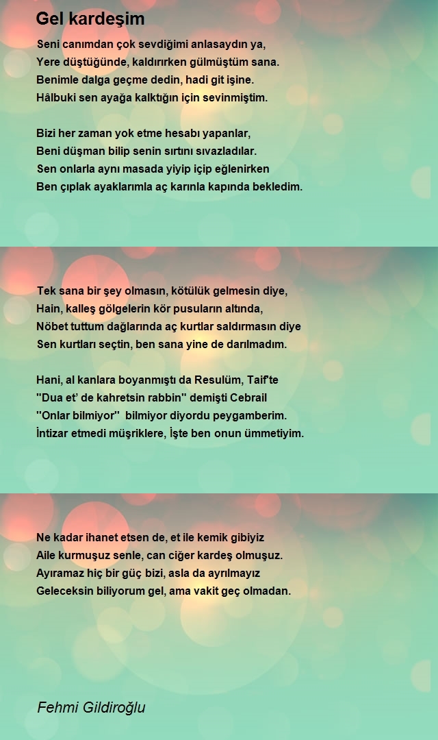 Fehmi Gildiroğlu