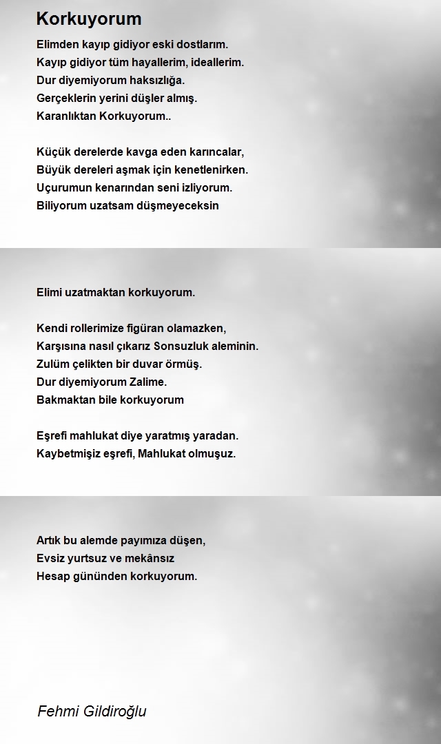 Fehmi Gildiroğlu