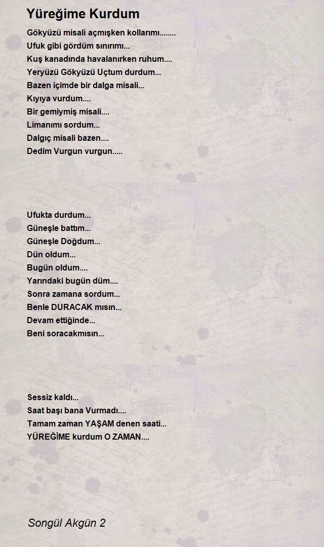 Songül Akgün 2
