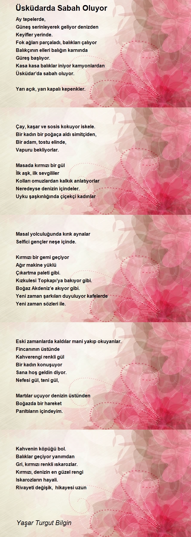 Yaşar Turgut Bilgin