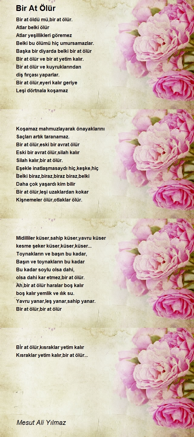 Mesut Ali Yılmaz
