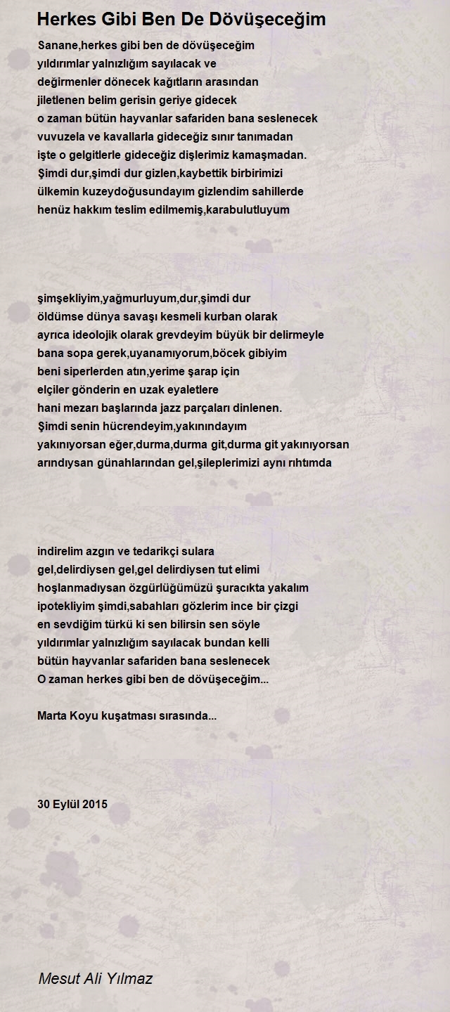Mesut Ali Yılmaz