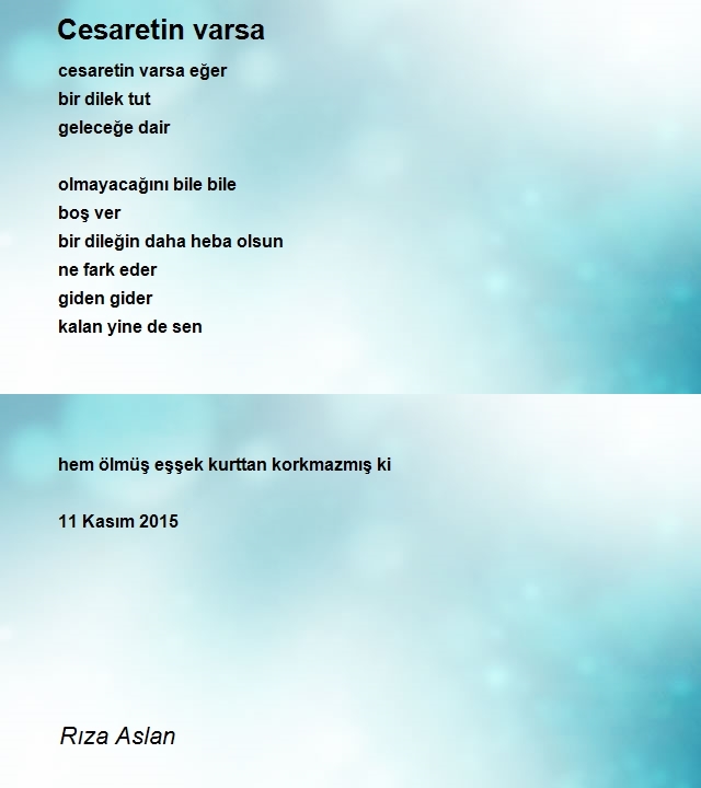 Rıza Aslan