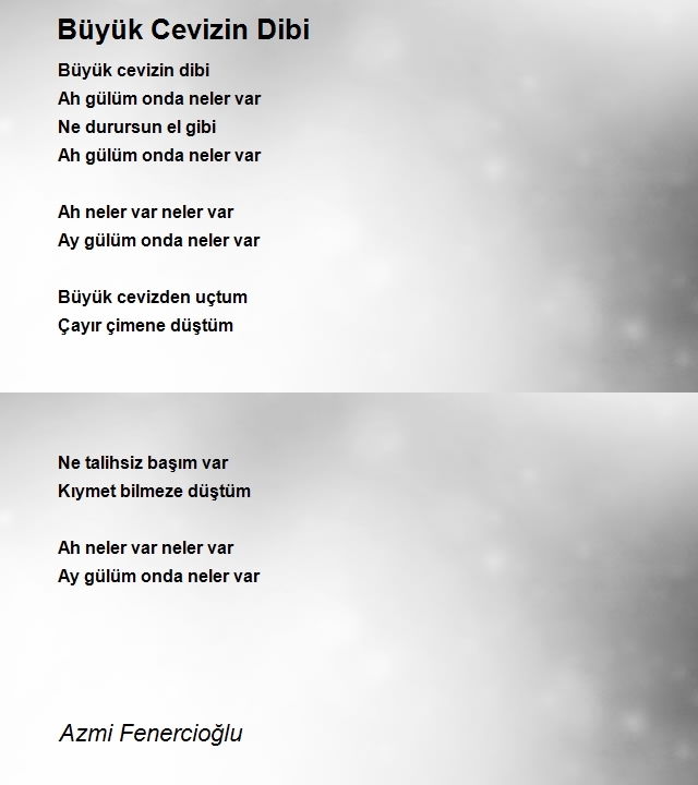 Azmi Fenercioğlu
