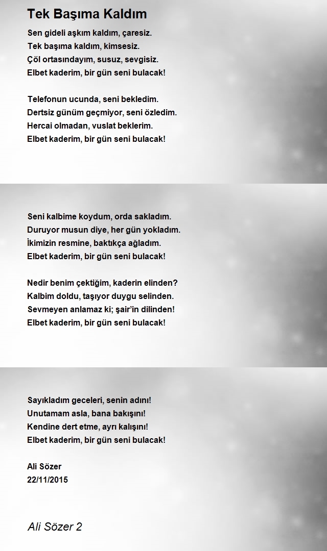 Ali Sözer 2