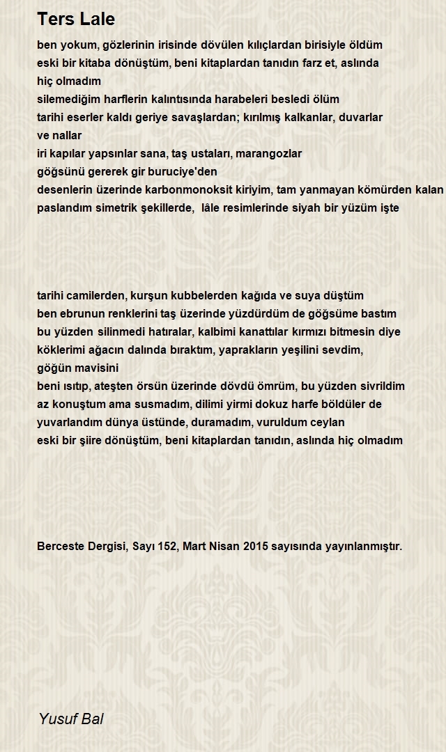 Yusuf Bal