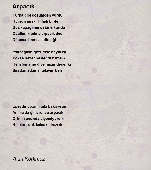 Akın Korkmaz