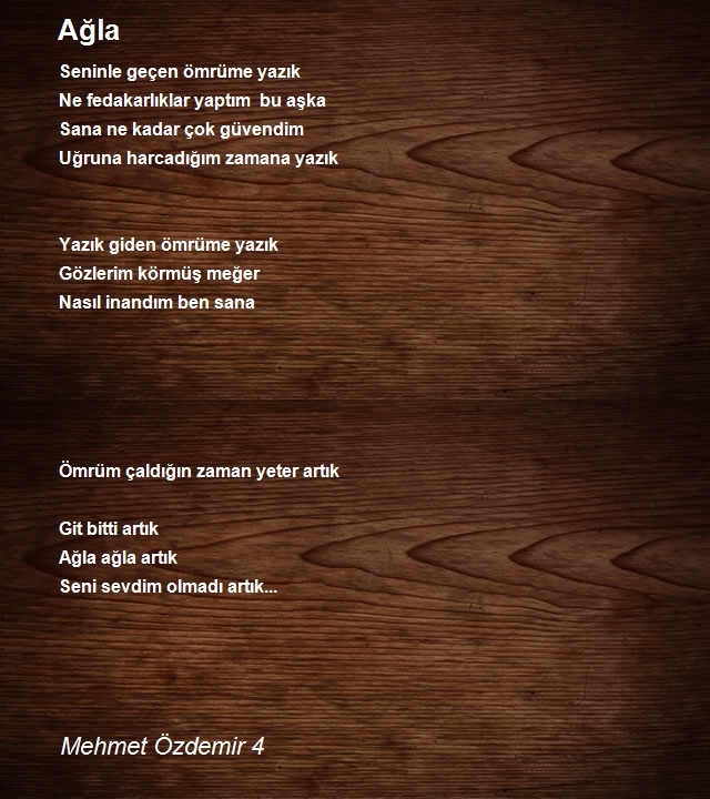 Mehmet Özdemir 4