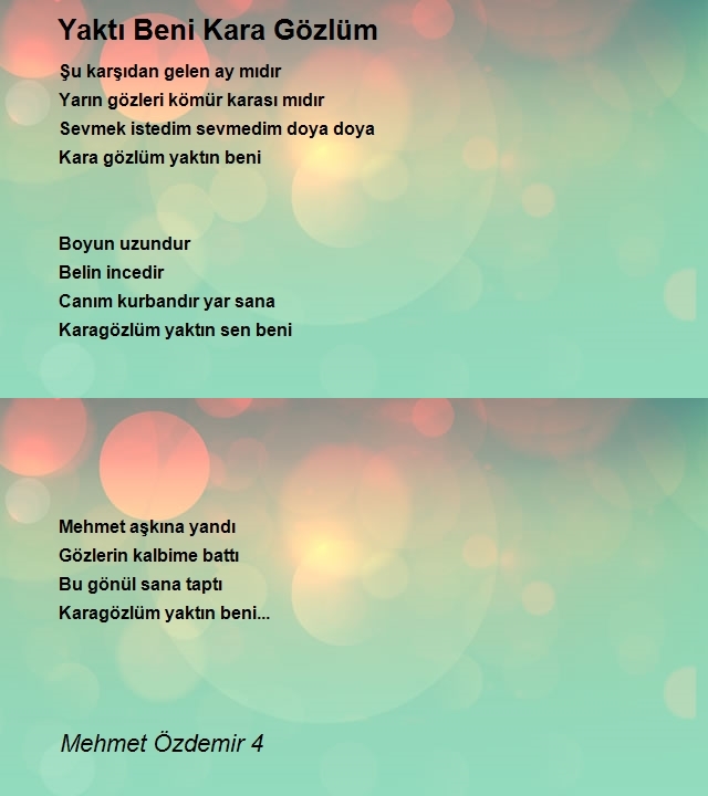 Mehmet Özdemir 4